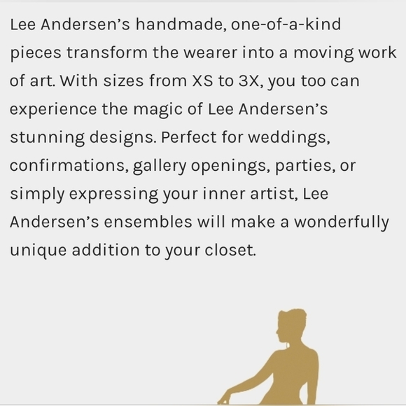 LEE ANDERSEN Lace Color-Block Dress XL Jersey Knit A-Line Sleeveless Shift - Picture 13 of 16